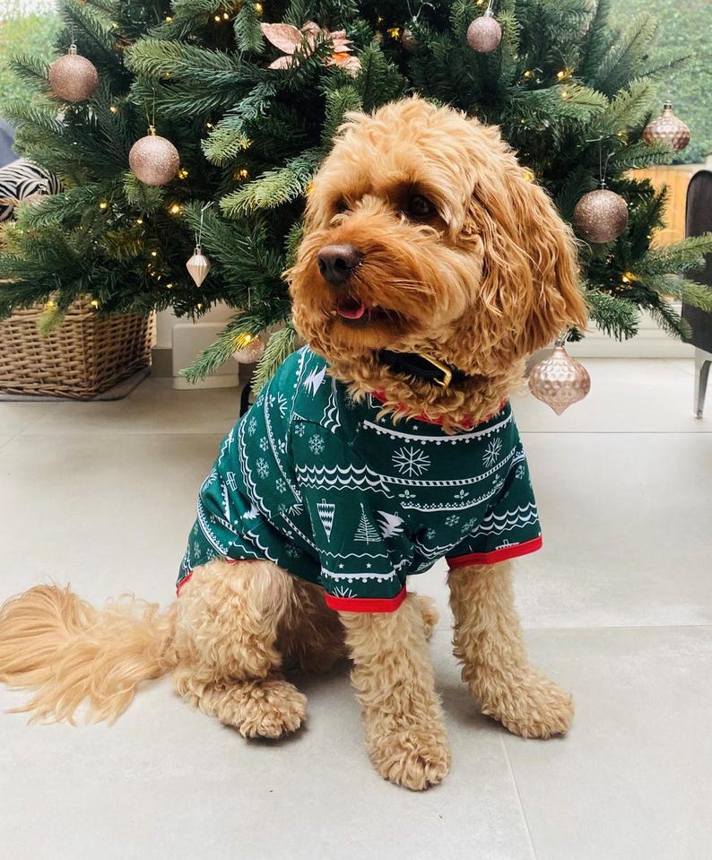 Green Christmas Tree Pajama Set