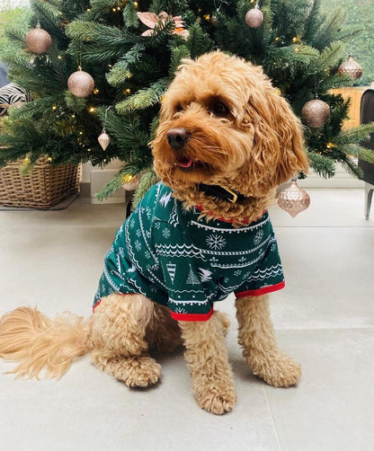 Green Christmas Tree Pajama Set